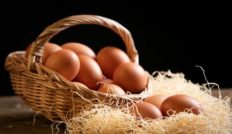 Plaquettes d'oeufs