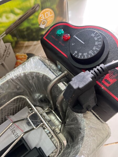 Electric Fryer