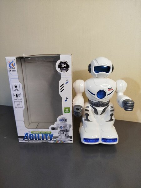Robot
