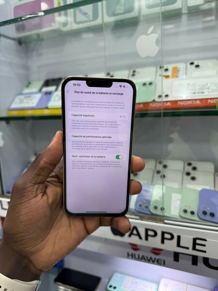 iPhone 13 Pro Max
