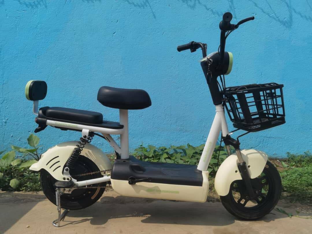 Electric motor bike