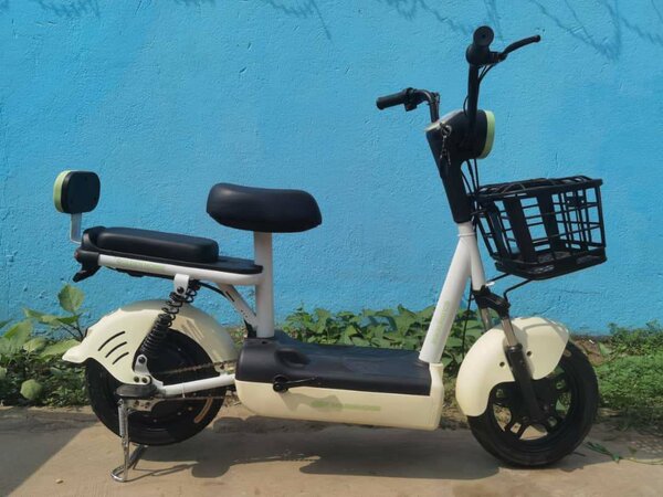Electric motor bike