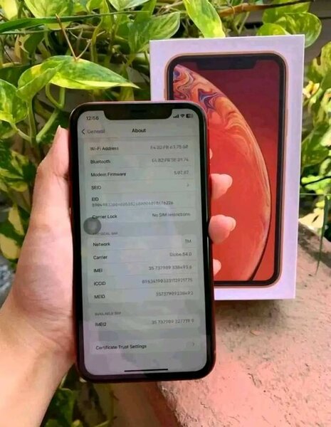 iPhone xr