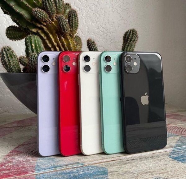 iPhone 11 - Multi-couleurs