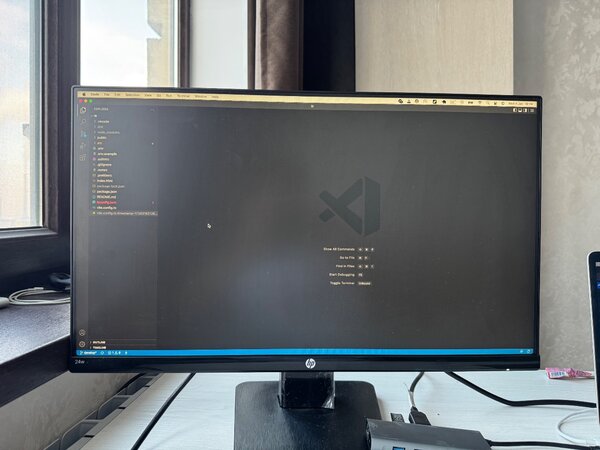 Monitor HP 24w