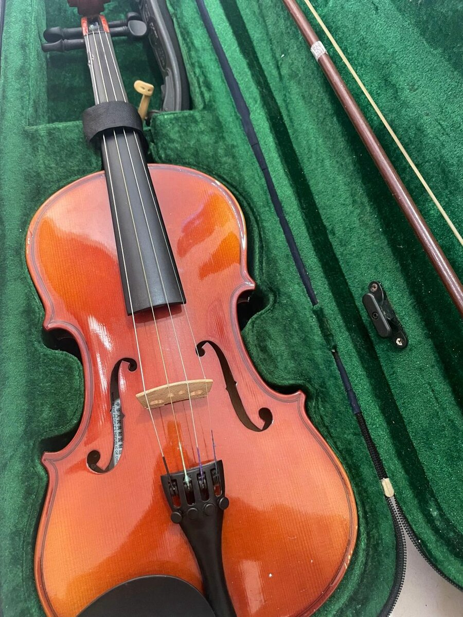 Violon, d'étude