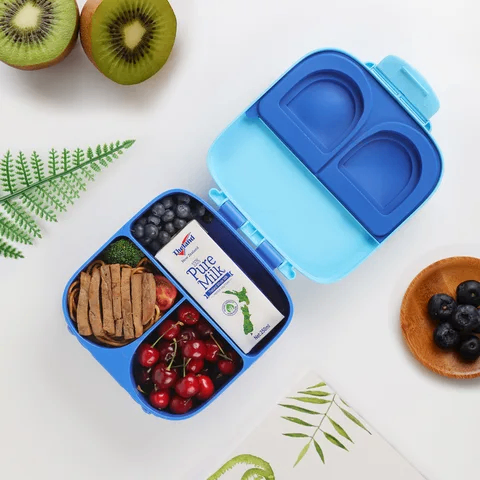 Kids school lunch / bento box