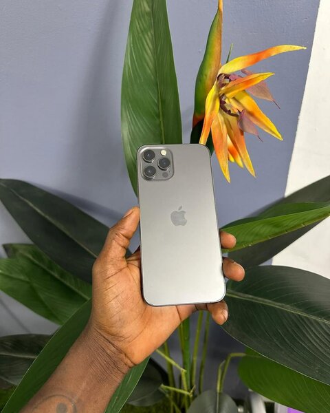 Iphone 12pro  Max