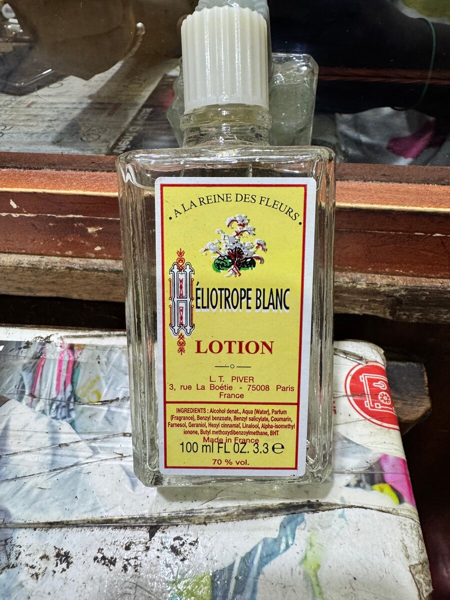 Eliotrope blanc