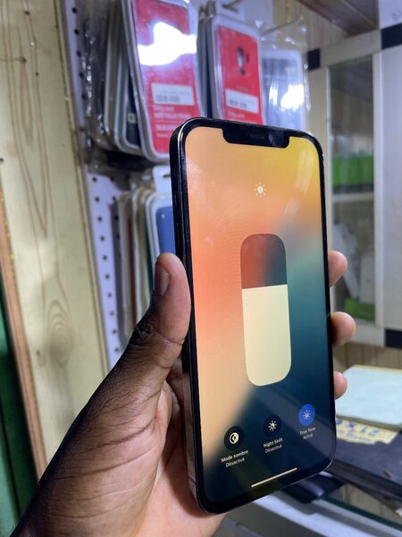 iPhone 12 Pro Max