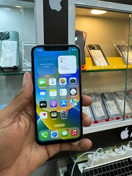 iPhone X