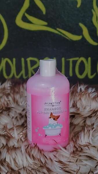 Shampooing