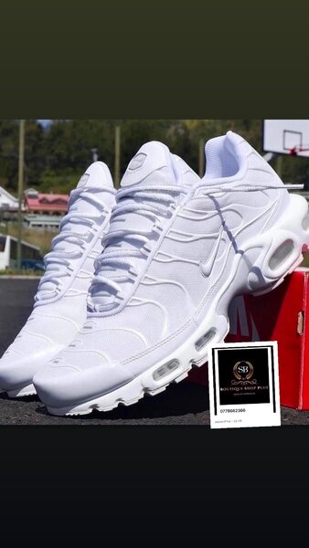 Basket nike tn authentique avec sa boîte