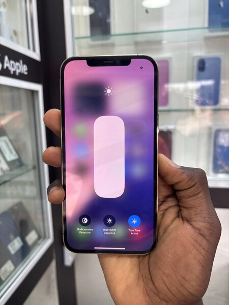 iPhone 12 Pro Max