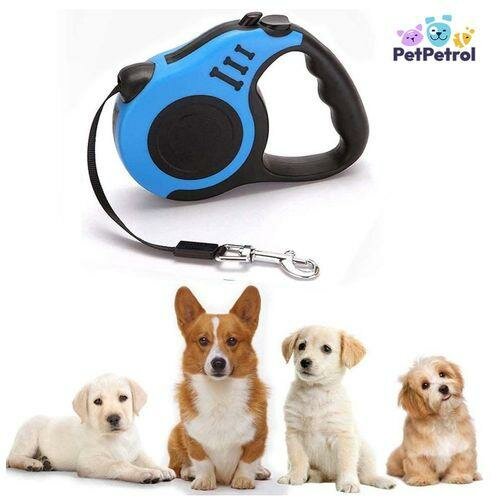 Laisse Rétractable Pour Chiens Moyens Et Grands