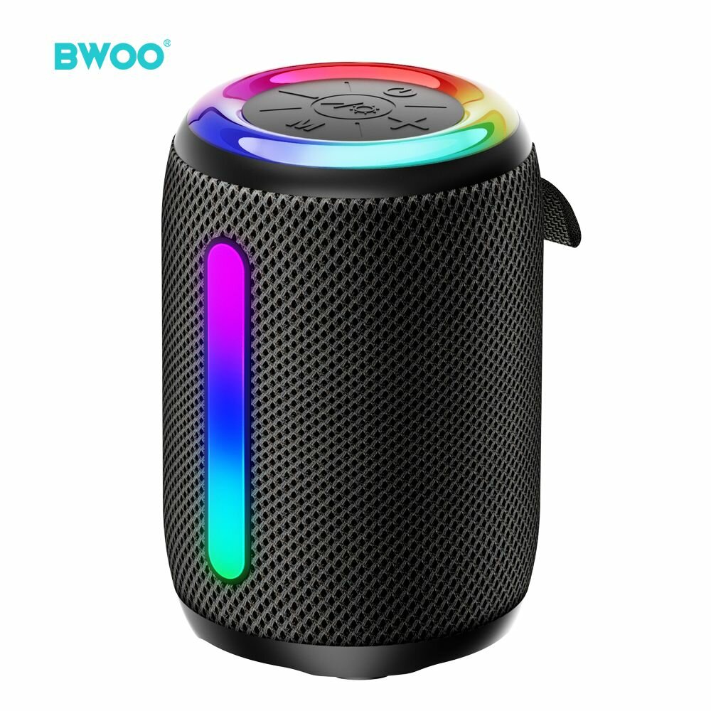 Enceinte portable BWOO BW87