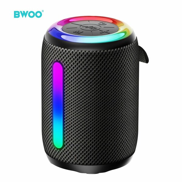 Enceinte portable BWOO BW87