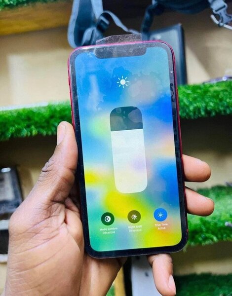 iPhone 11 simple