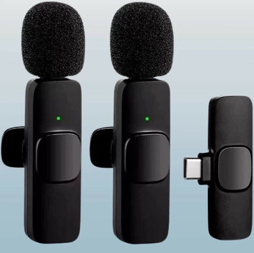 Mini microphone