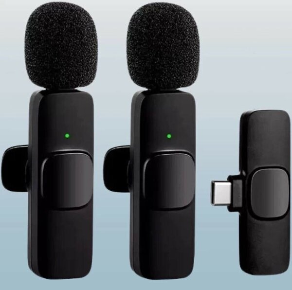 Mini microphone