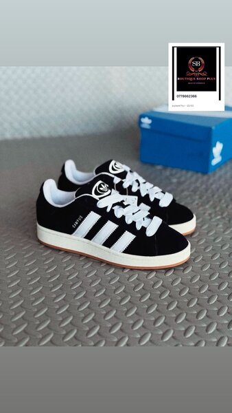 Basket adidas campus authentique avec sa boîte