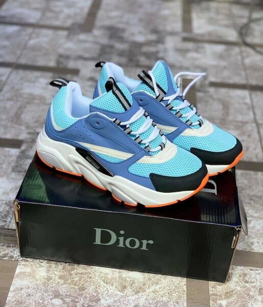 Chaussure dior