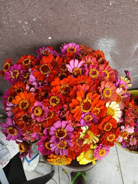 Bouquet de fleurs colorées fraîches