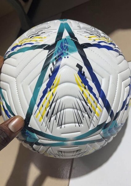 Ballon de football professionnel