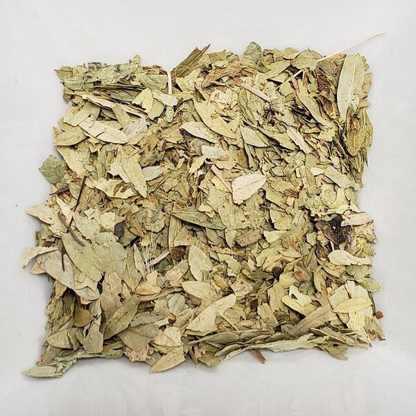 Feuille de séné