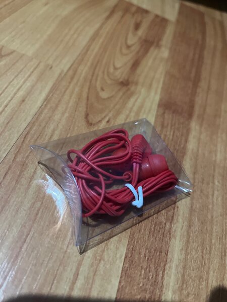 Earphones