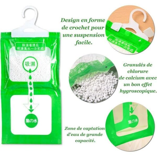 10 absorbeurs d'humidité  100g