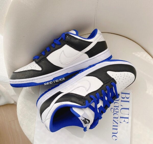 Nike sb sneaker
