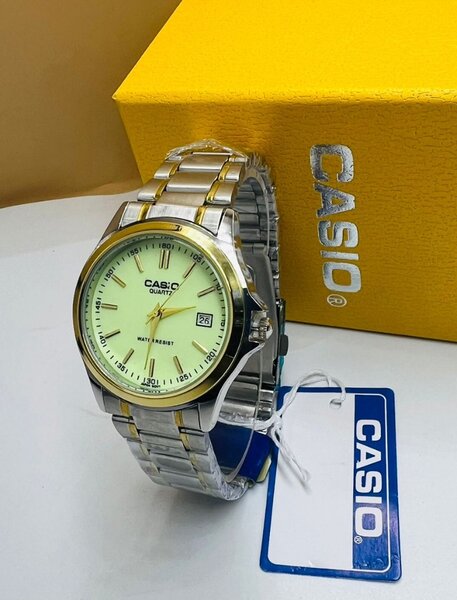 Montres Casio Acier Inoxydable