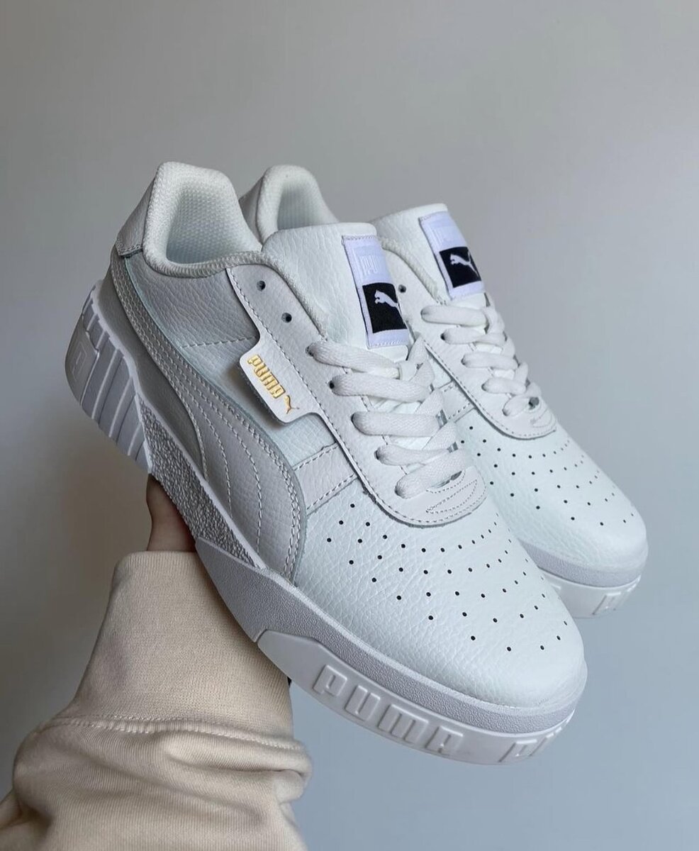 Puma cali