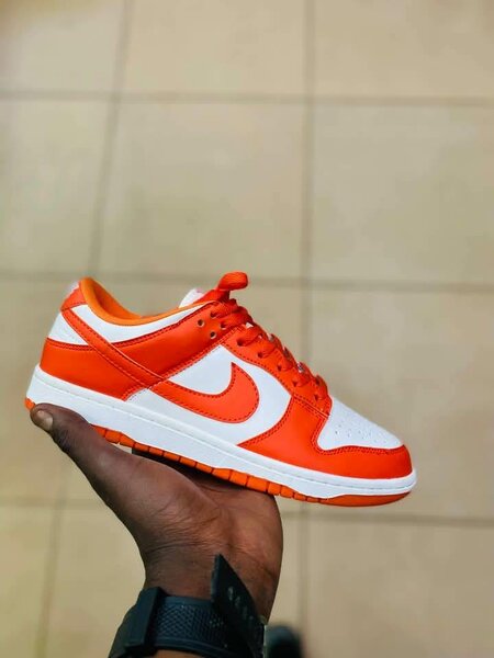 Panda Nike dunks