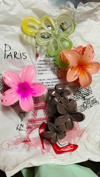 Barrettes Hawaï