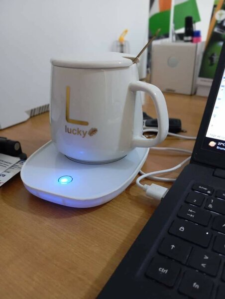 Tasse chauffante électrique à café