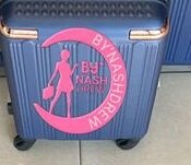 valise
