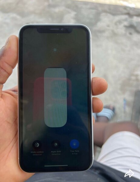 iPhone XR Blanc Débloqué