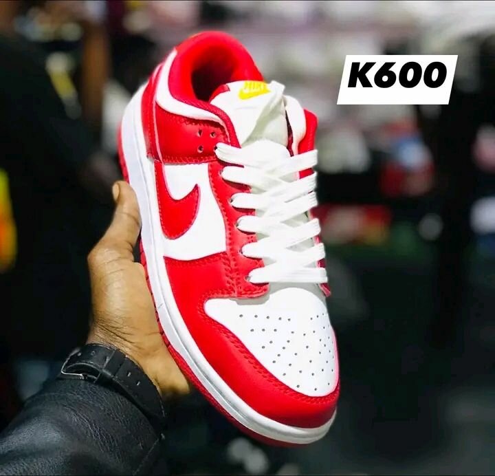 Sbb dunk