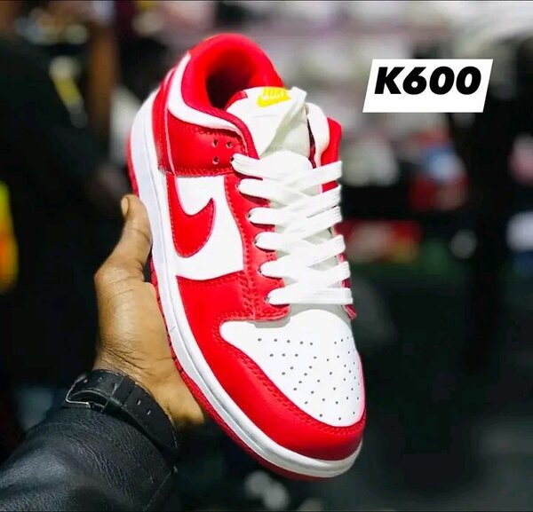 Sbb dunk