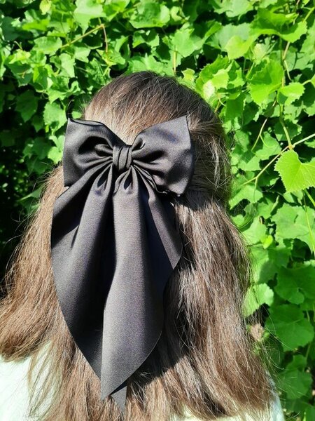 Grand Nœud Papillon Cheveux