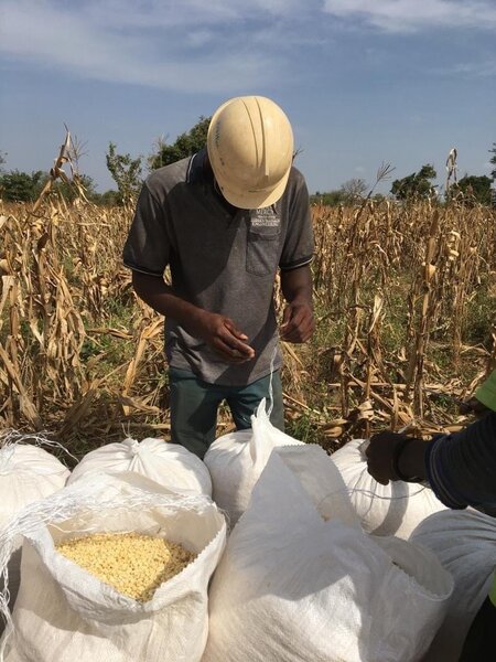 Cereals And Grains
