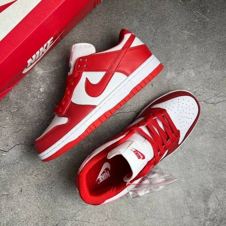 Nike SBs