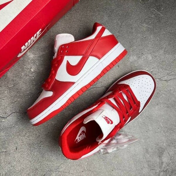 Nike SBs