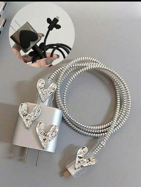 Charger protector