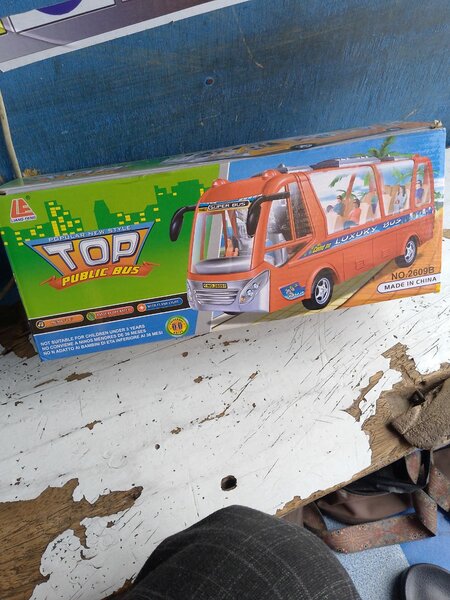 Top public bus