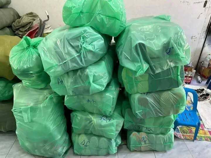 Sacs de rangement résistants