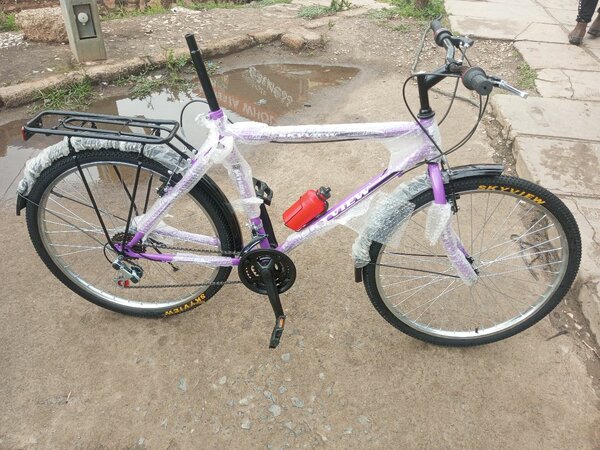 SkyView bike