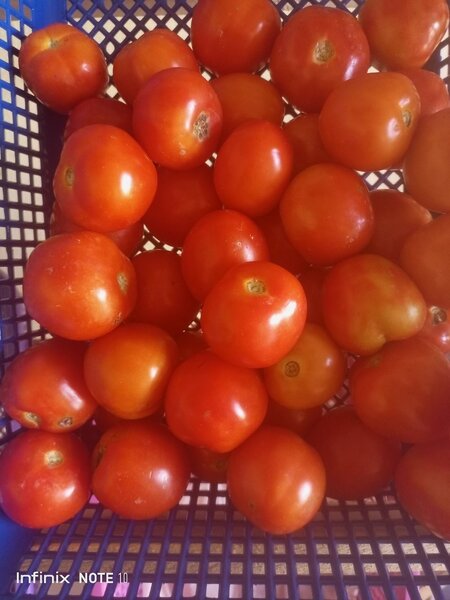 Légumes